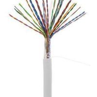 Кабель NETLAN U/UTP 25 пар, Кат.5 (Класс D), 100МГц, одножильный, BC (чистая медь), внутренний, PVC нг(B), серый, 305м